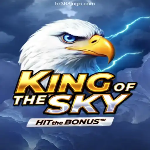 Unveiling KingOfTheSky: A Journey into Aerial Prowess